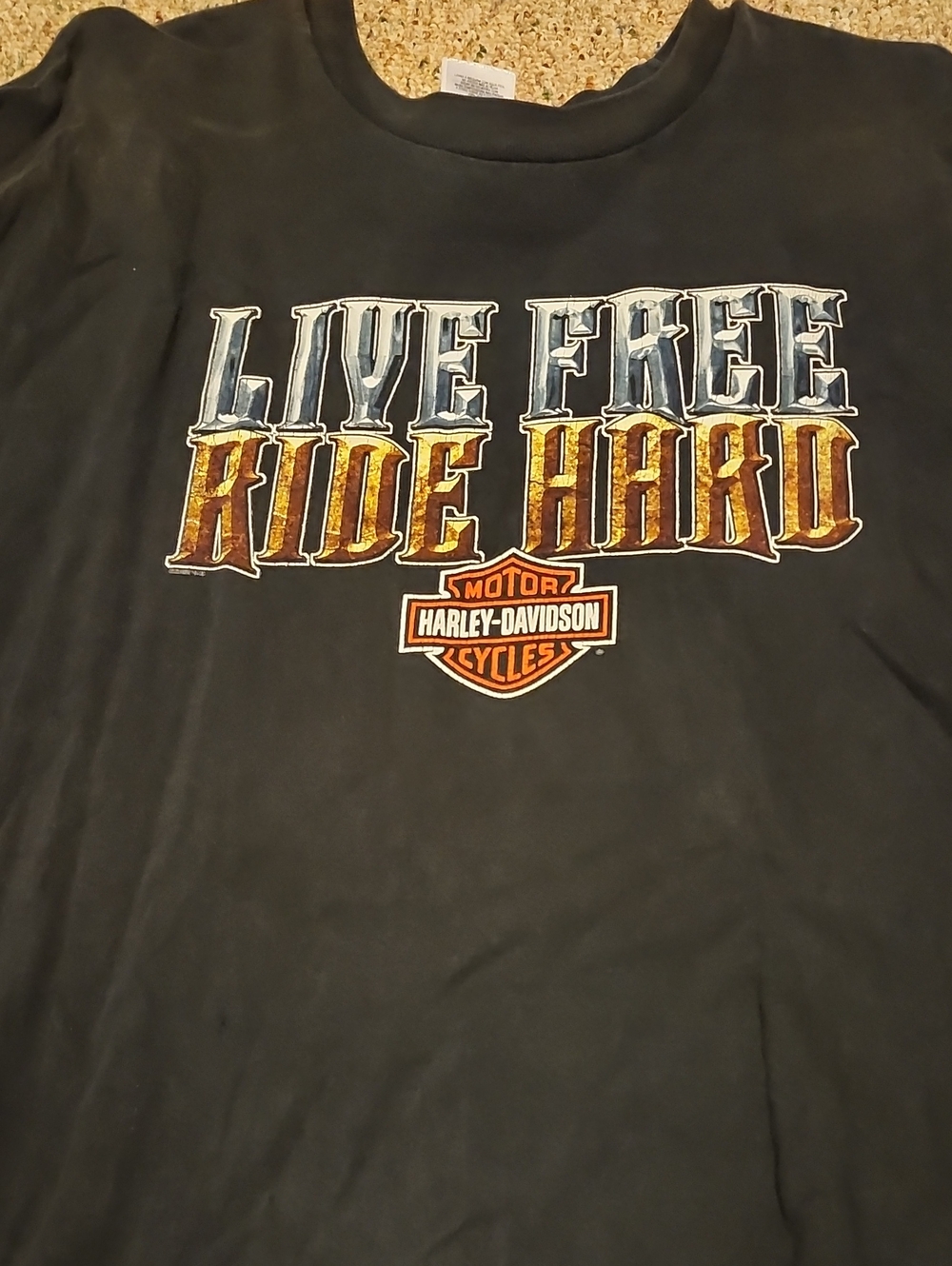 Harley-Davidson Black Tee with Silver and Gold Lettering 4X - DE